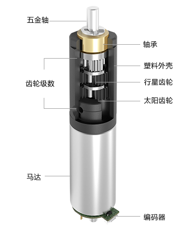 6MM���ٳ�����