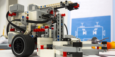 ��ľ������������